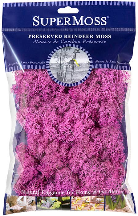SuperMoss – Großhandel Pflanzen – SuperMoss Rentiermoos konserviert, 57 g Beutel16