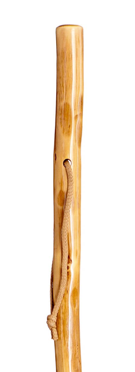 Segorbina BASTONES - Wholesale Sporting Accessories - Varnished chestnut mountain cane in light color1