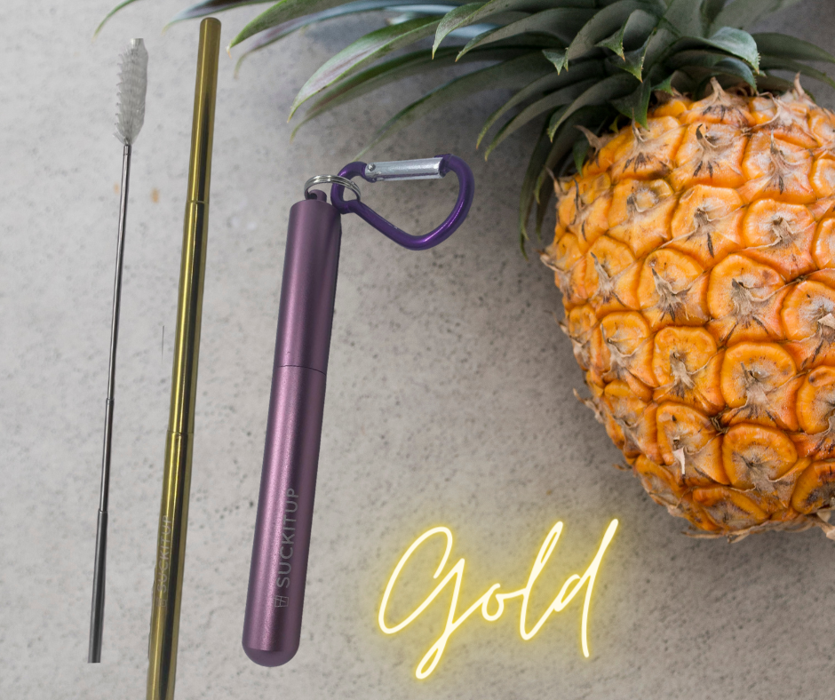 Suck It Up Straws - Vente Paille - Pailles métalliques télescopiques avec étui pour porte-clés et brosse de nettoyage43