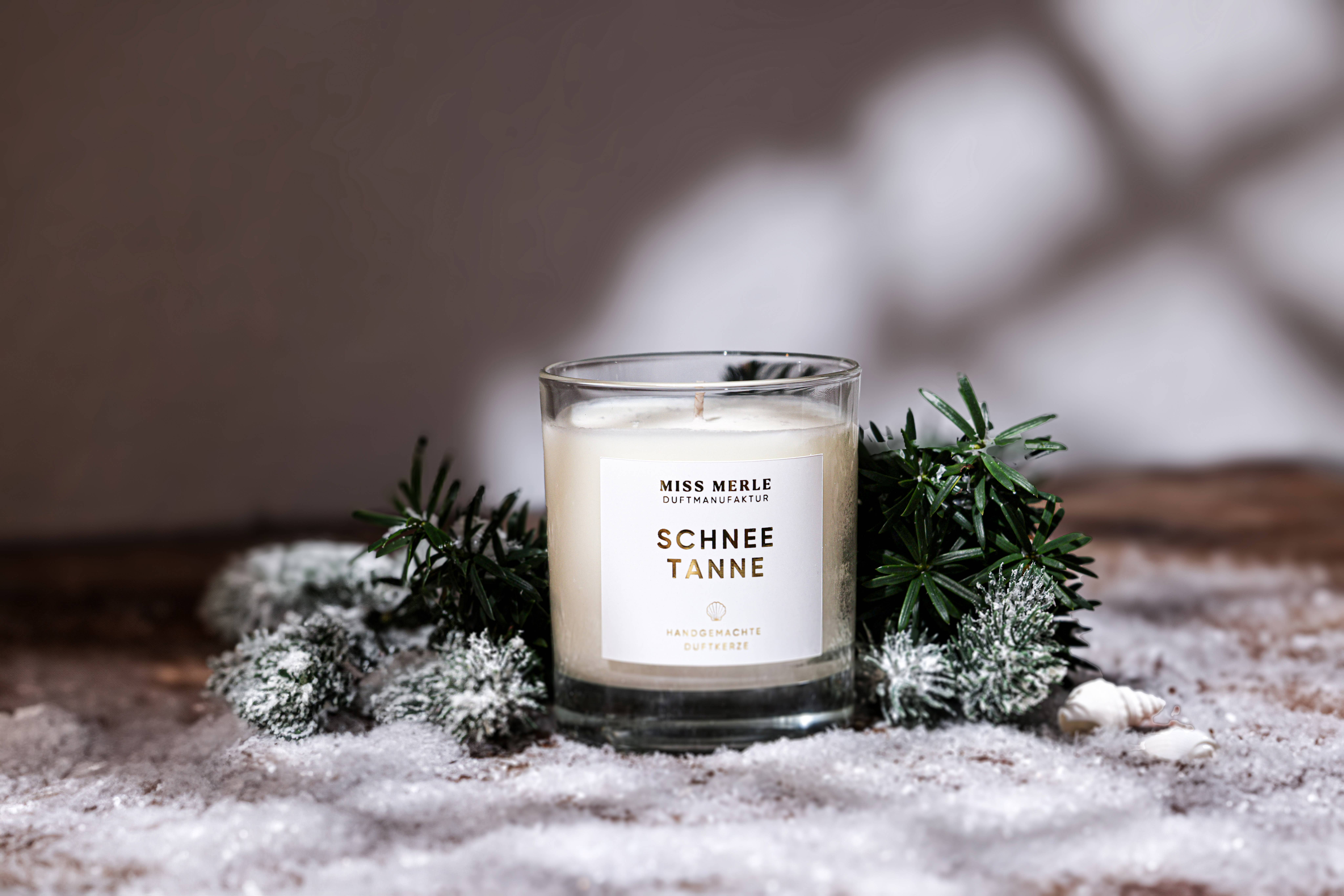 MISS MERLE Duftmanufaktur - Wholesale Jar/Filled Candle - Christmas Candle SNOW FIR – Winter Scented Candle with Fir Scent3