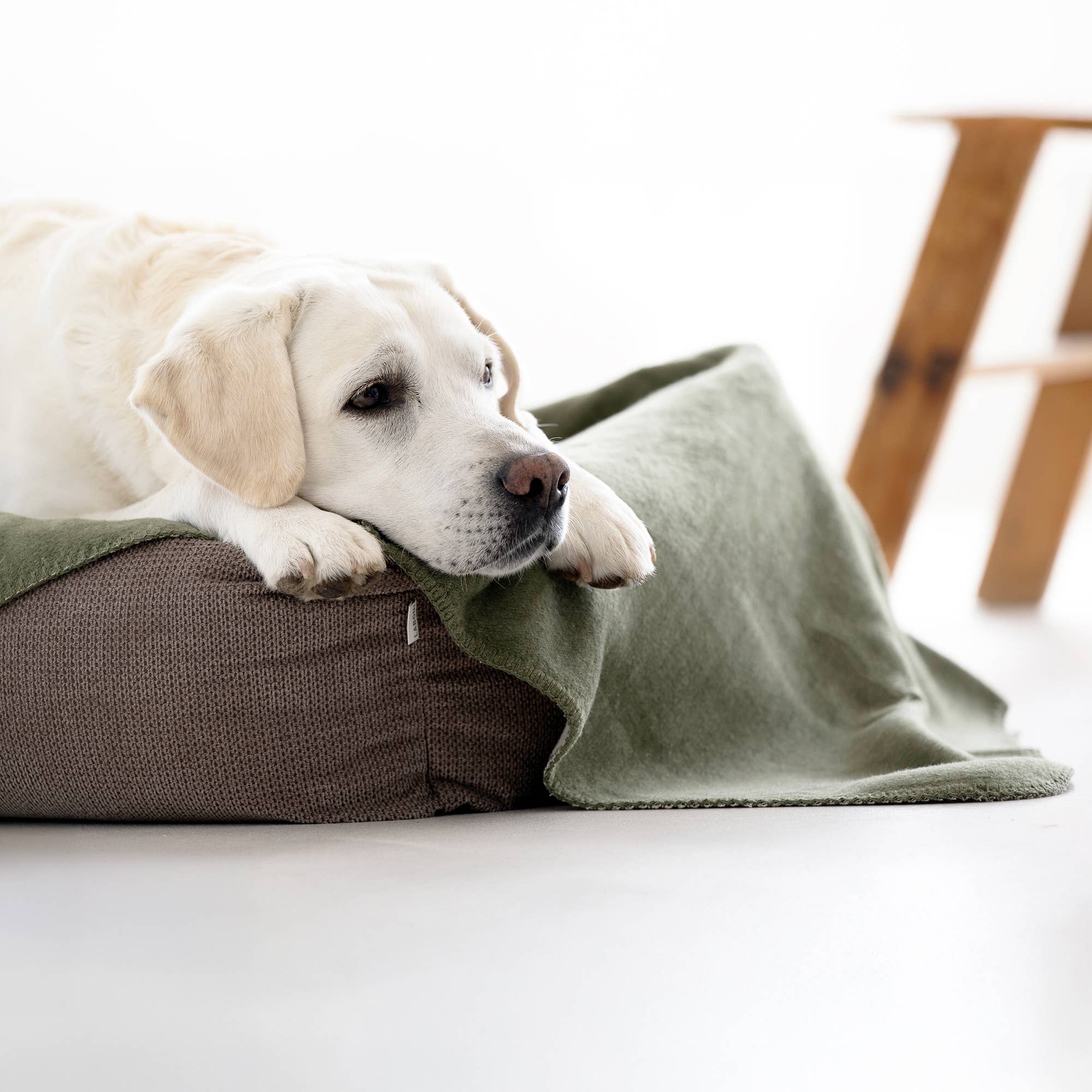 LABONI - Volentis GmbH – wholesale Husdjursbädd – Hund – ORTHO SÄLLSKAPSDJUR SÄNG TUDOR33