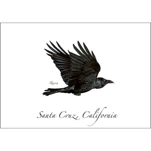 Raven for wholesale by Earth Sky + Water