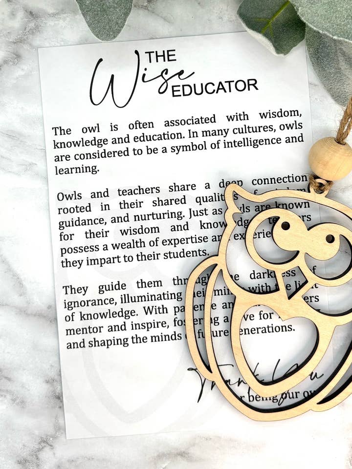 Tarjeta de historia con forma de búho The Wise Educator, adorno para coche o bolsa para venta al por mayor de Harris Girl Creations