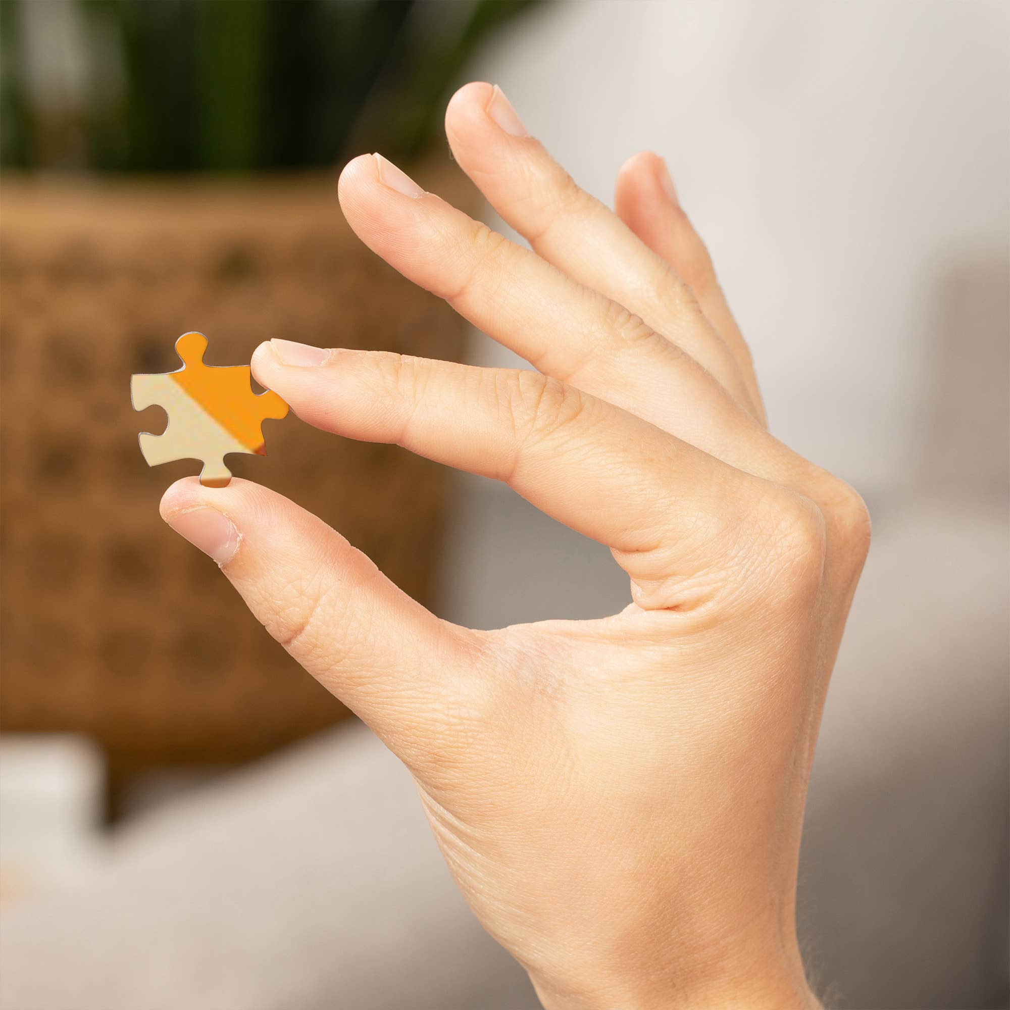 Lantern Press - Vente Puzzle – adulte - PUZZLE DE 1000 PIÈCES Animaux marins, géométrique5