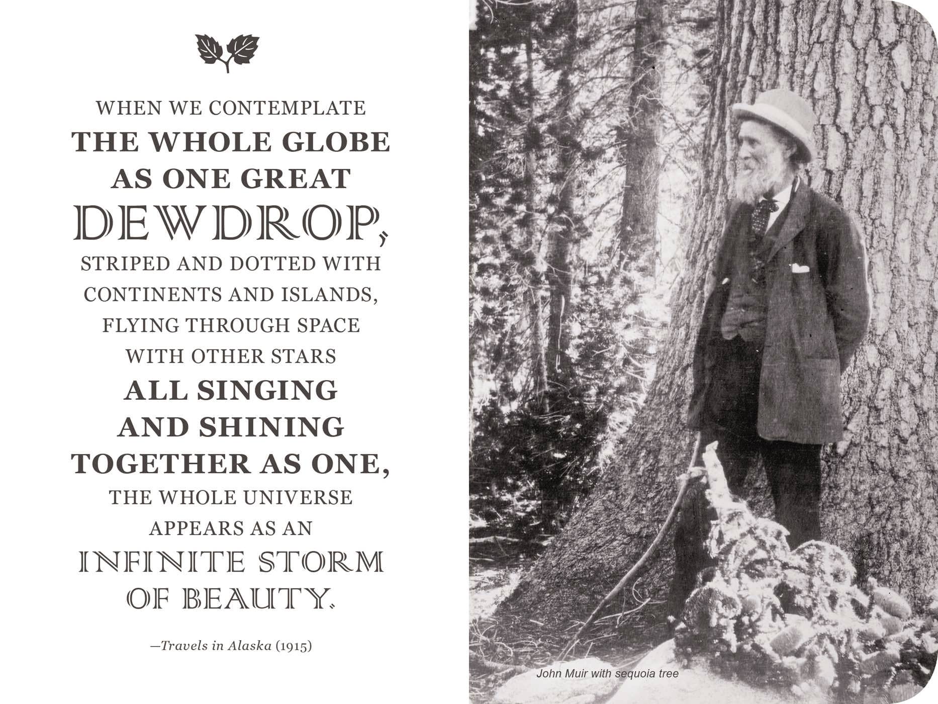 HarperCollins Focus - Wholesale Notebook - John Muir Signature Notebook4