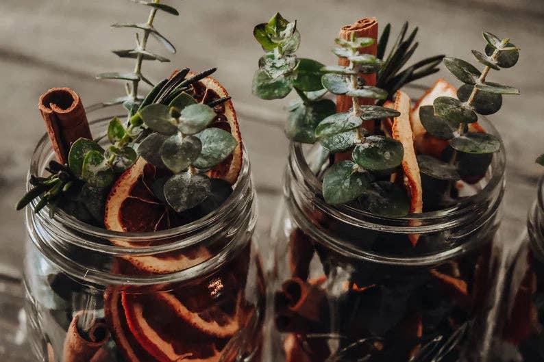 The Coppered Fern - Wholesale Potpourri - Cold and Flu Fighting Simmer Potpourri4