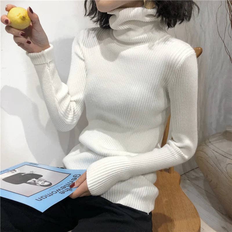 Blak Wardrob - Wholesale Knitted jumper – Women′s - Turtleneck Women Korean Sweater24
