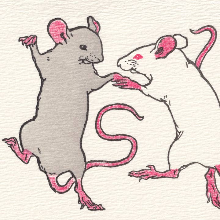 Saturn Press - Wholesale Birthday Card - Cat's away, mice play2