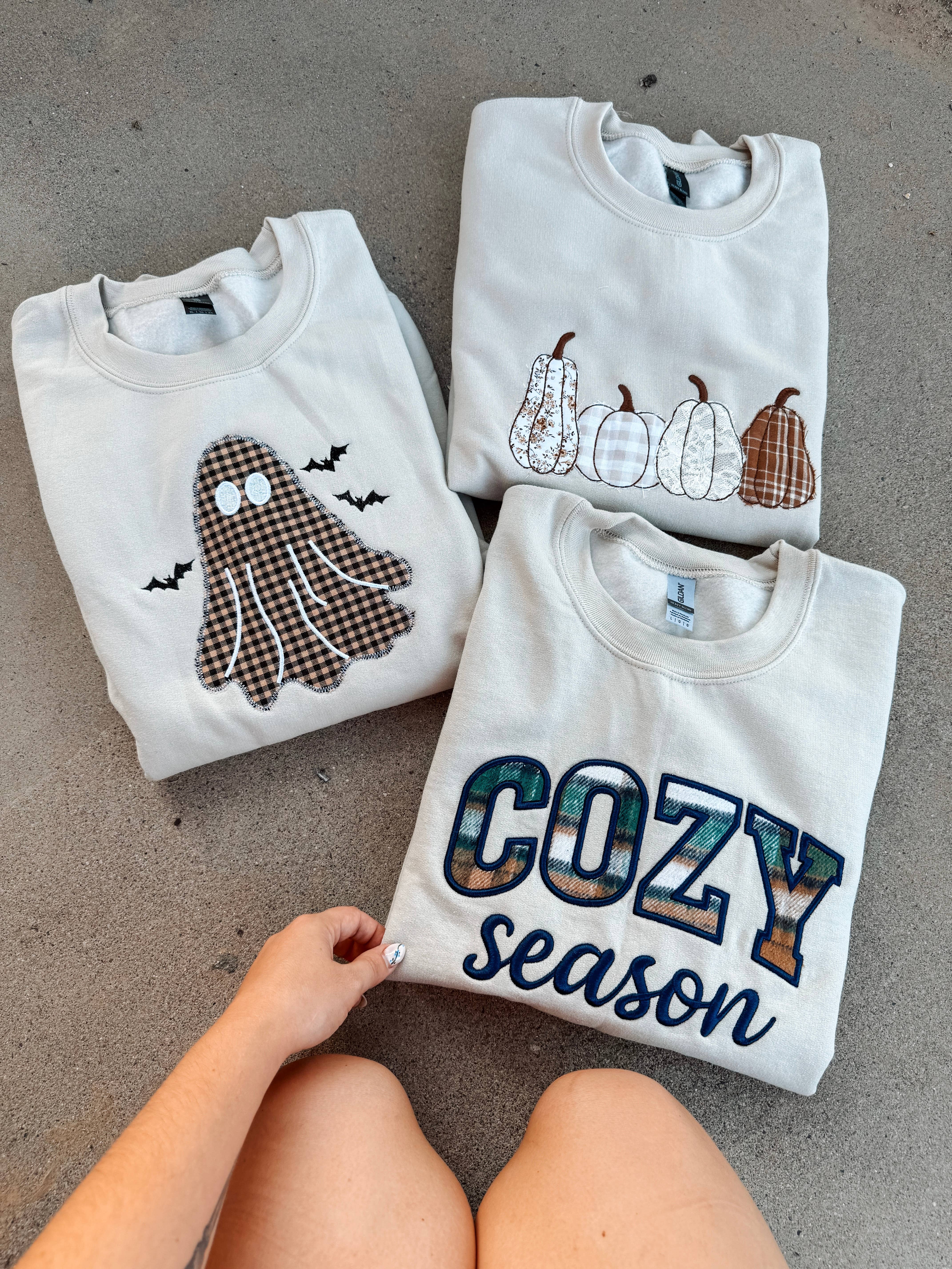 Broke Babes Wholesale - Wholesale Sweatshirt - Women's - Appliqué embroidered fall sweatshirts