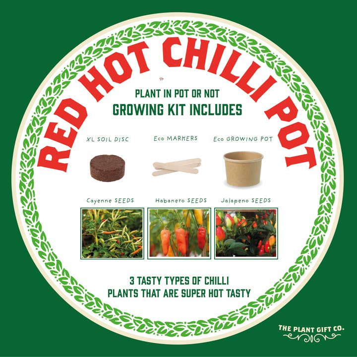 The Plant Gift Co. – wholesale Plant seeds – Red Hot Chilli Pot. Grow Your Own Plant Kit, Gardening Gift7