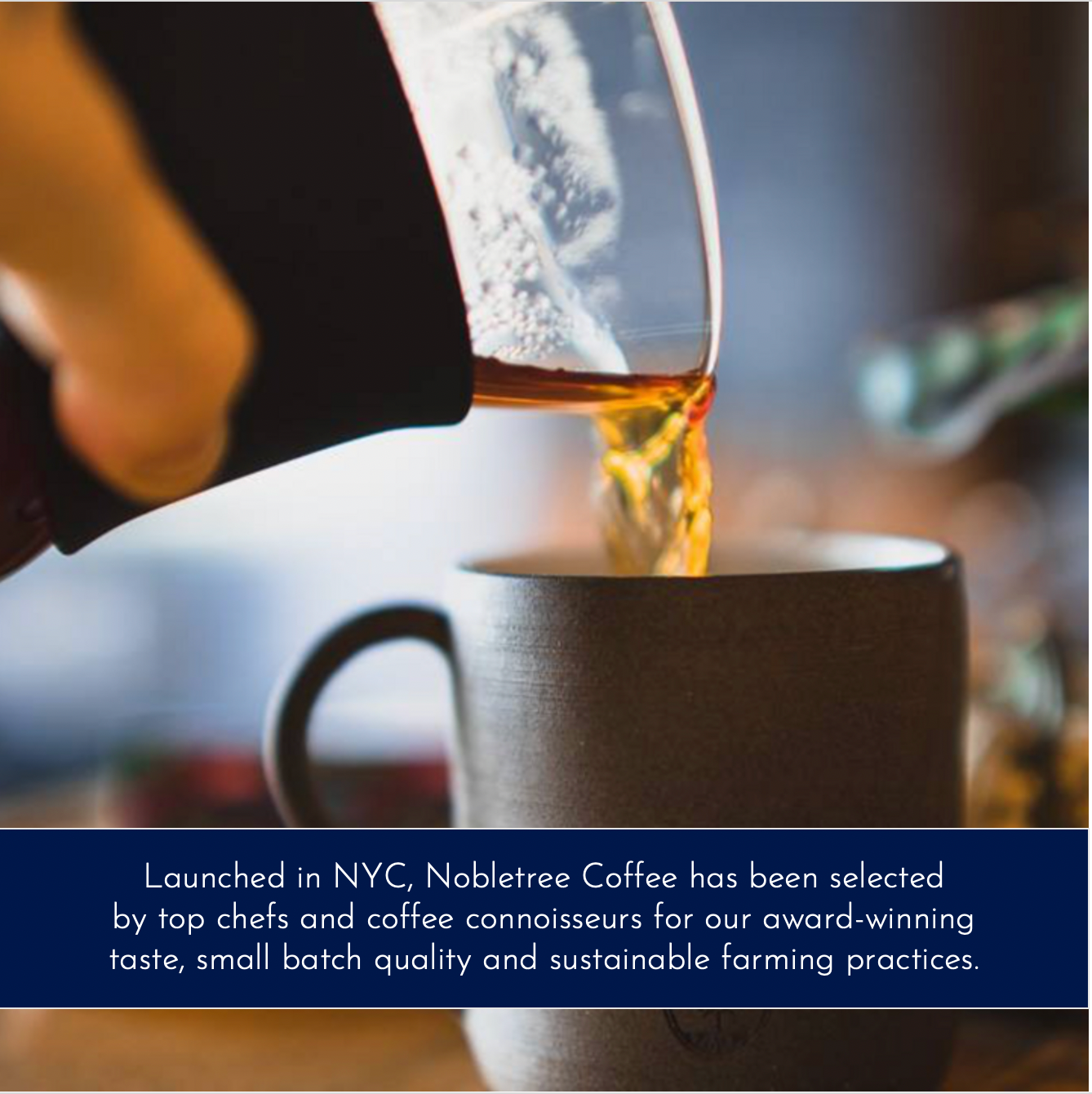 Nobletree Coffee - Wholesale Coffee Beans - Nobletree "Gato Preto" Medium Roast Coffee, 12oz.1