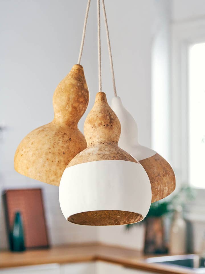 Caelus - White Top para venta al por mayor de Con La Palma