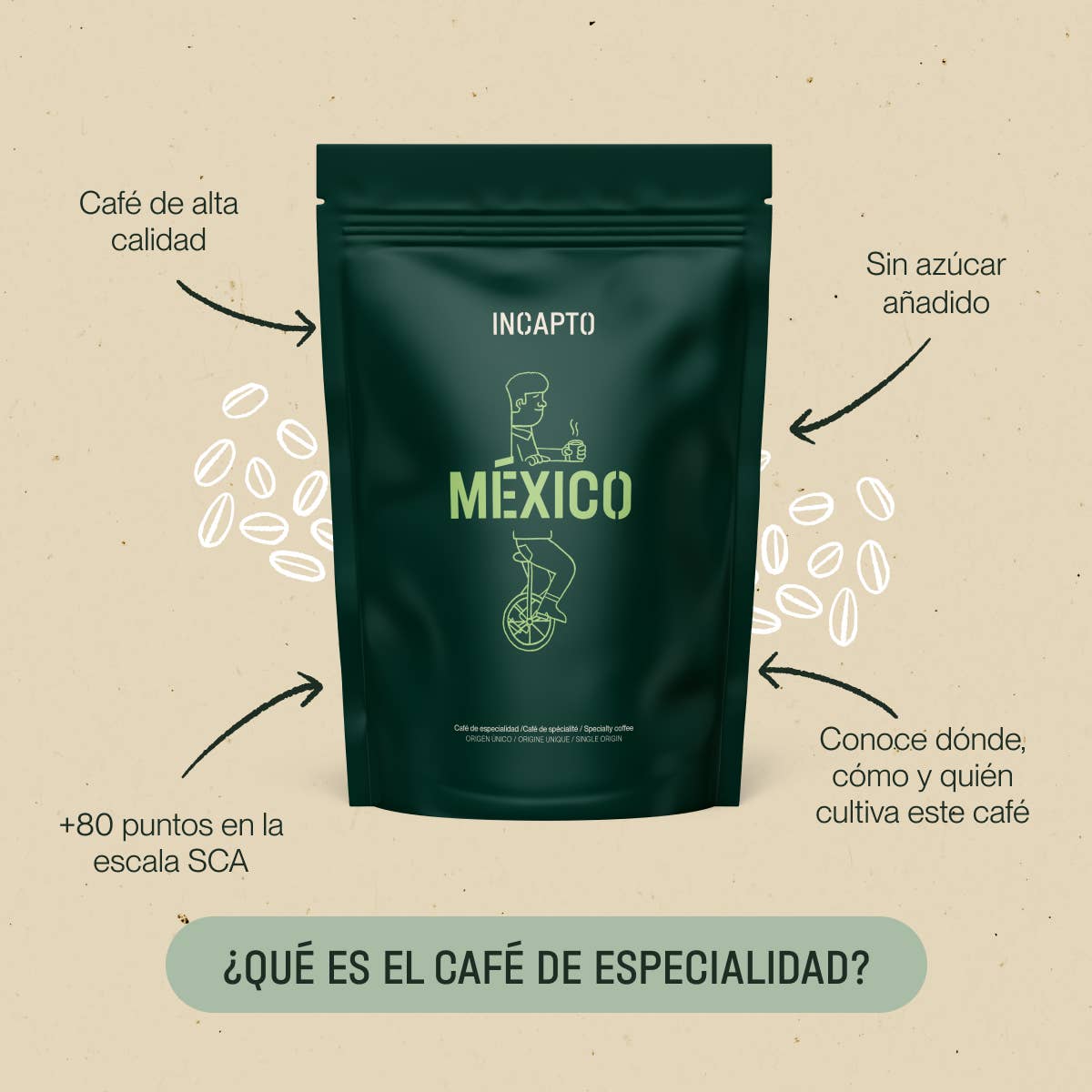 INCAPTO COFFEE – Grãos de café por atacado – Café de Grão Especial do México 100% Arábica1