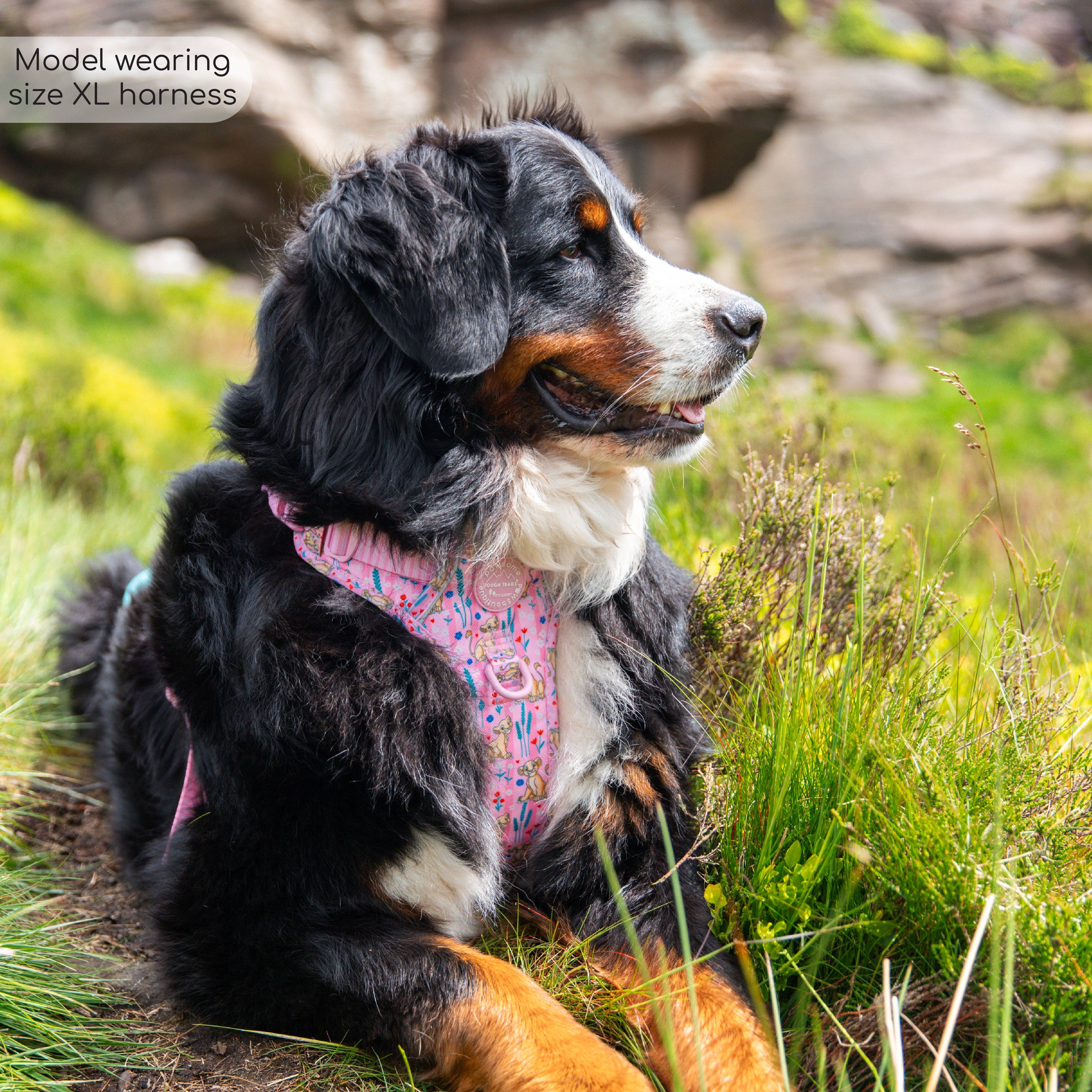 Pawsome Paws - Vendita all'ingrosso Pettorina - Cani - Imbracatura Disney© Tough Trails™ - Nala21