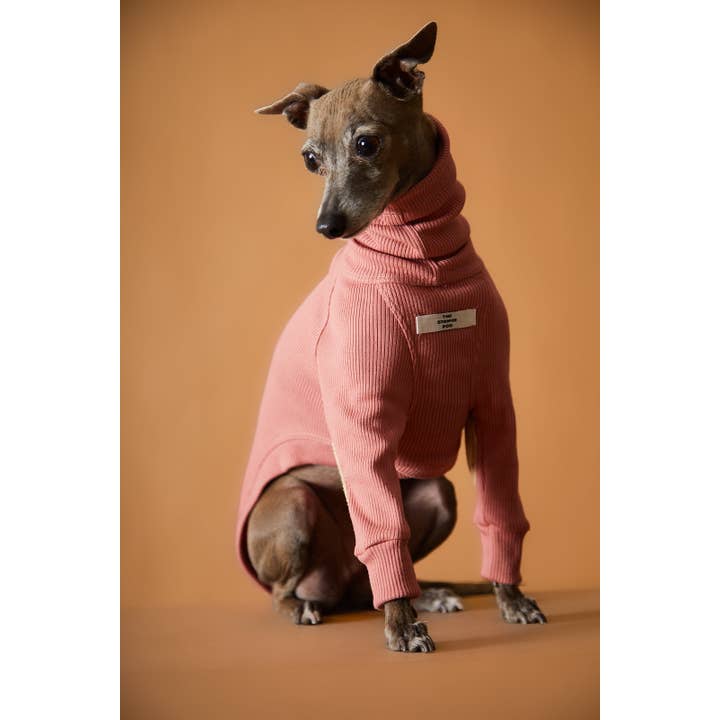 The Striped Dog - Vendita all'ingrosso Maglione - Cani - Maglione dolcevita a costine con levriero italiano/Whippet TULERIE