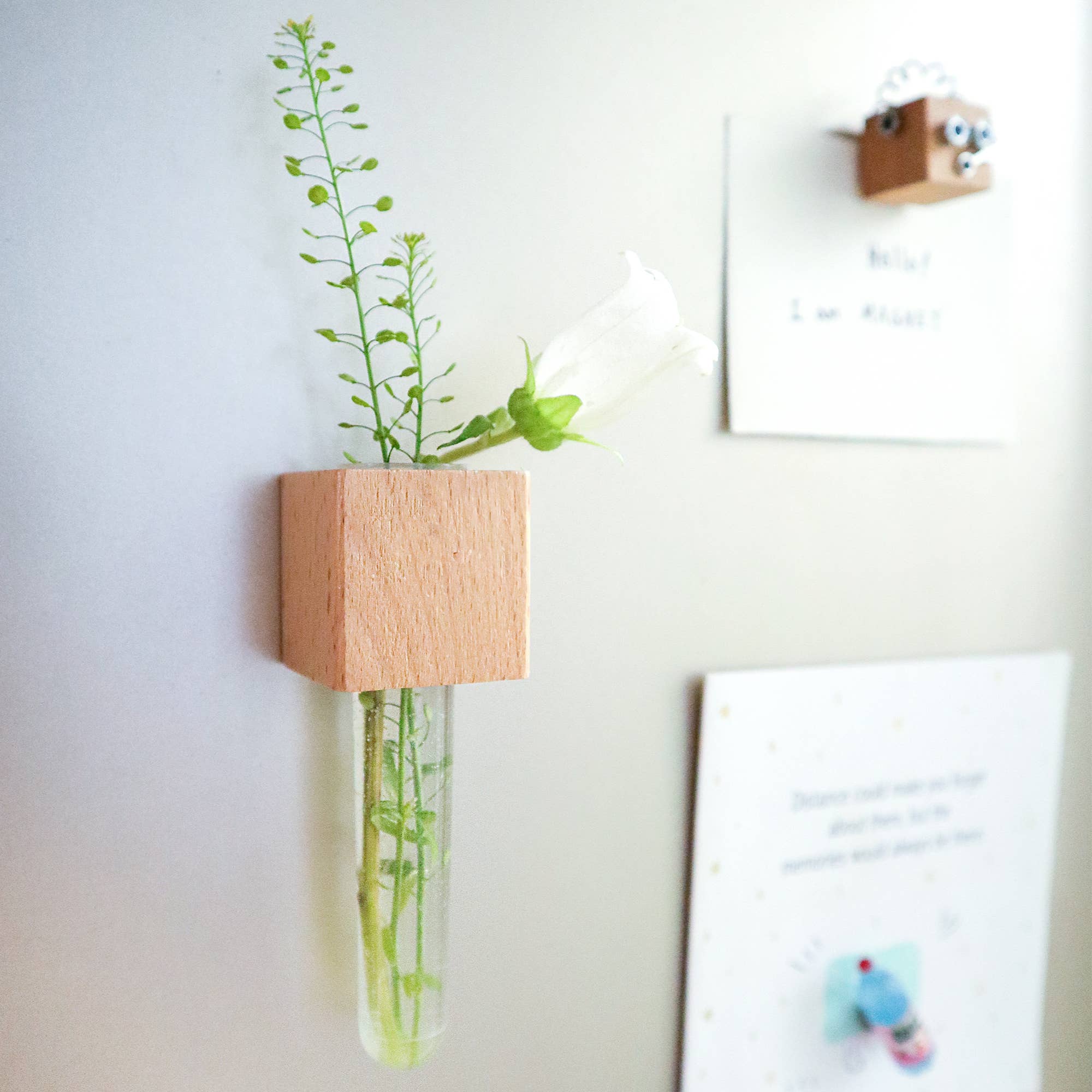 Kitsville - Vendita all'ingrosso Calamite - Mini vasi magnetici – Set di 2 – Magneti decorativi per frigorifero3