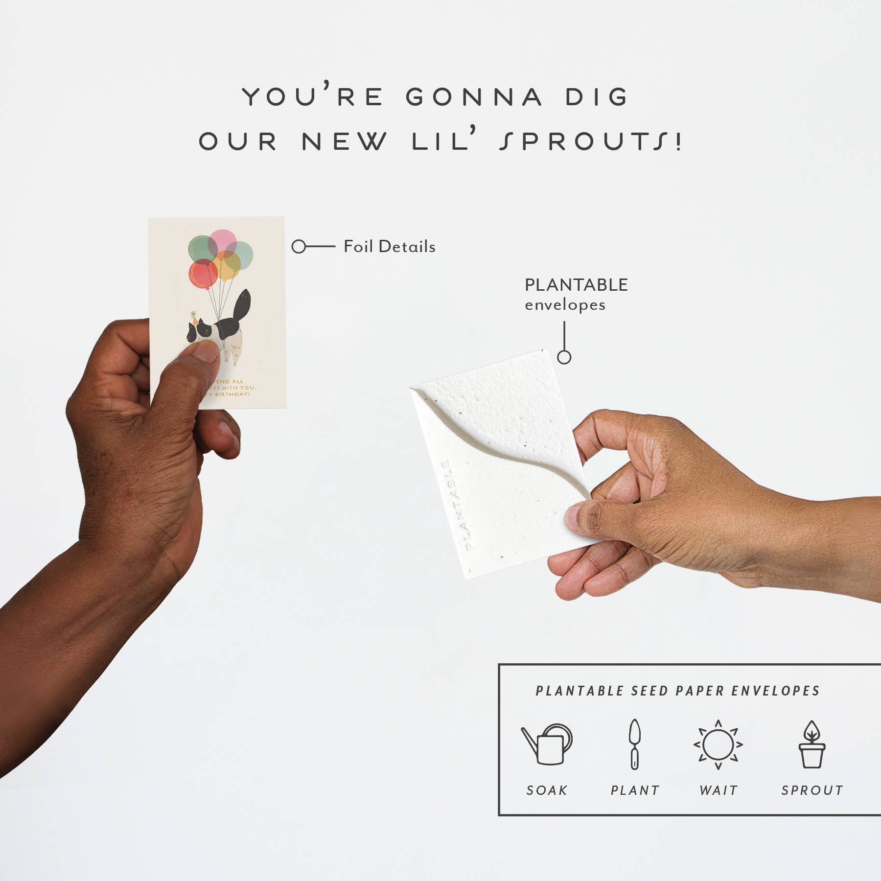 Seedlings - Wholesale Birthday Card - Birthday Kitty Sprout - B'day Mini Greeting Card 2.5" x 3.5"3