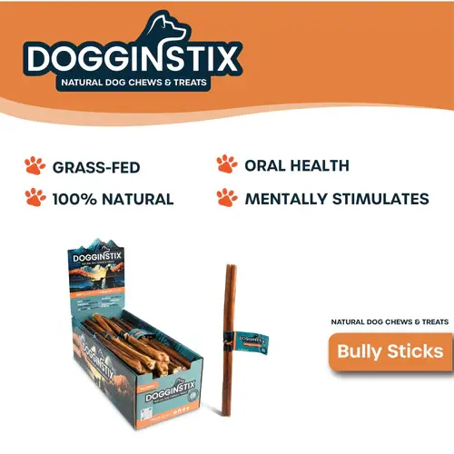Dogginstix - Wholesale Pet Treats - Dog - 12" Jumbo Bully Sticks 5