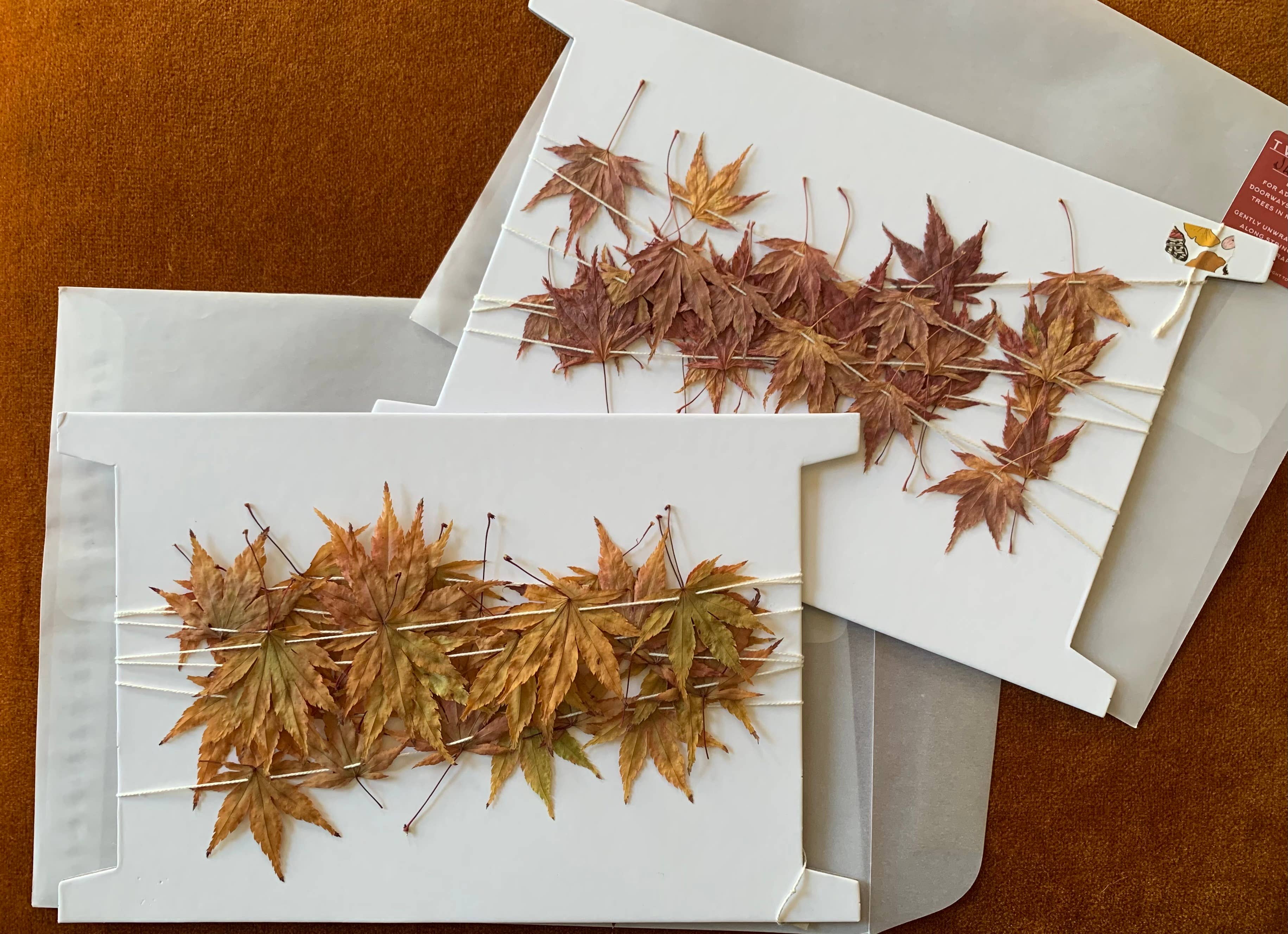 Twig and Snip - Wholesale Bunting/Garland - Dried Mini Japanese Maple Leaf Garland - Reds and Browns