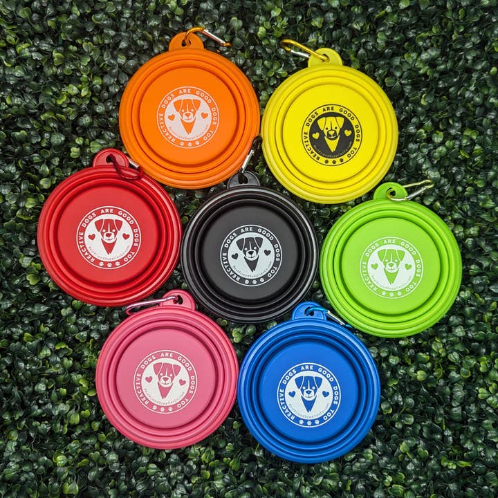 Best Friend Supplies Co - Wholesale Pet Bowl - Cat/Dog - Collapsible Water Bowl2