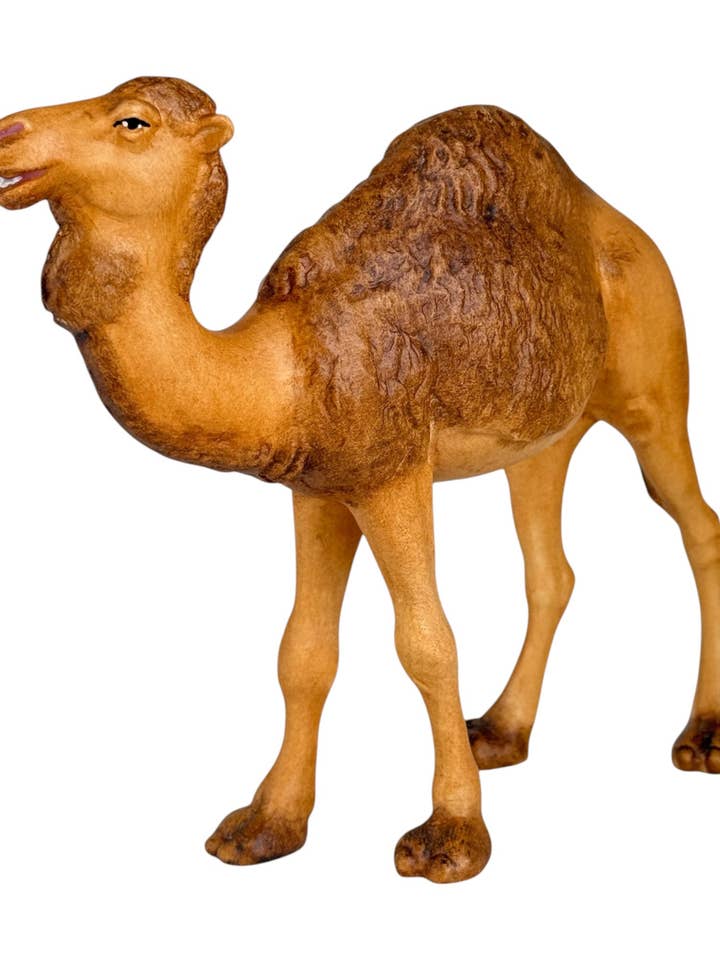 Kamel-Figur für Krippe aus Ahornholz aus dem Grödnertal für den Großhandel von Dolfi