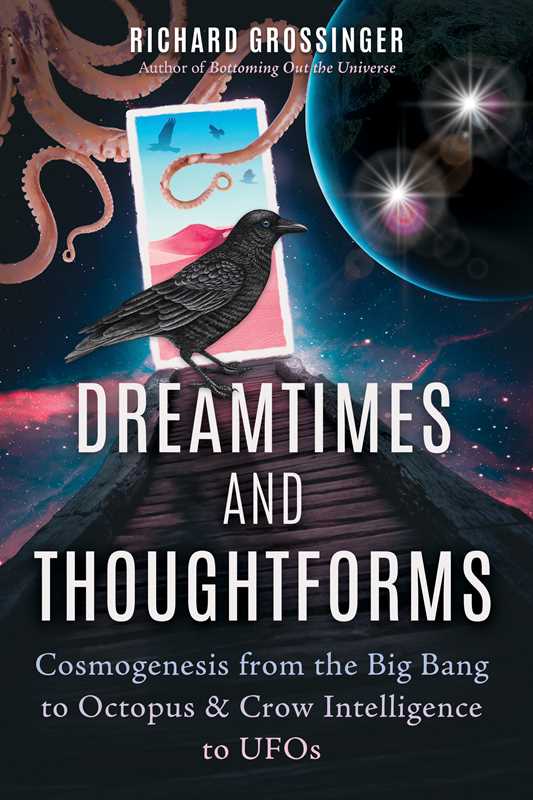Simon & Schuster - Wholesale Body, Mind & Spirit - Dreamtimes and Thoughtforms by Richard Grossinger0