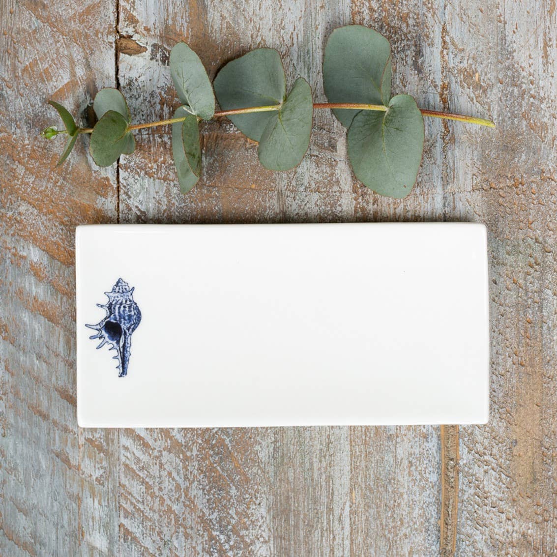 Toasted Crumpet – wholesale Bath soap dish – Conch Shell Rectangular Fine Bone China Soap Dish1