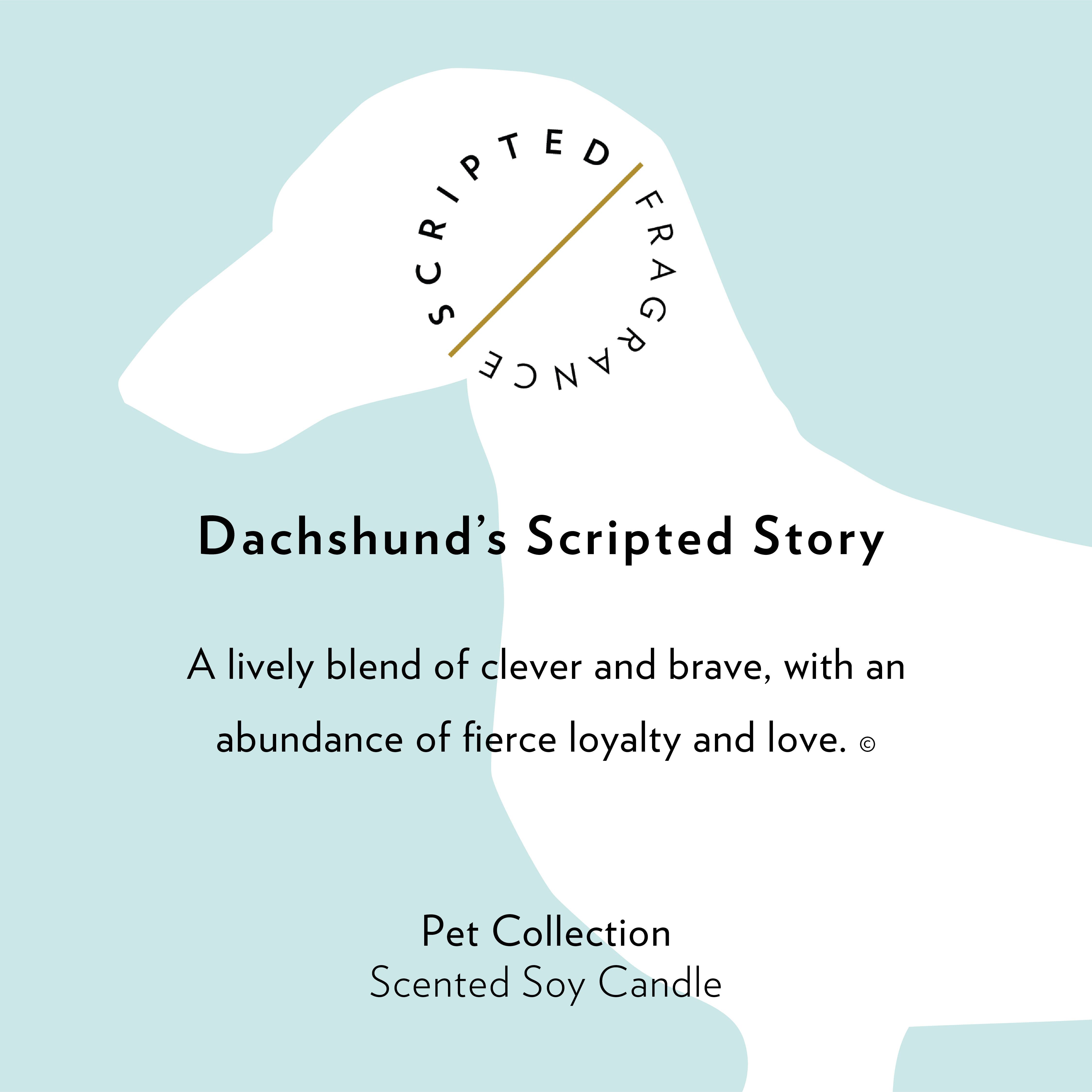 Scripted Fragrance – wholesale Burkljus – Dachshund Hundras Sojaljus - LÄS PRODUKTNOTER10