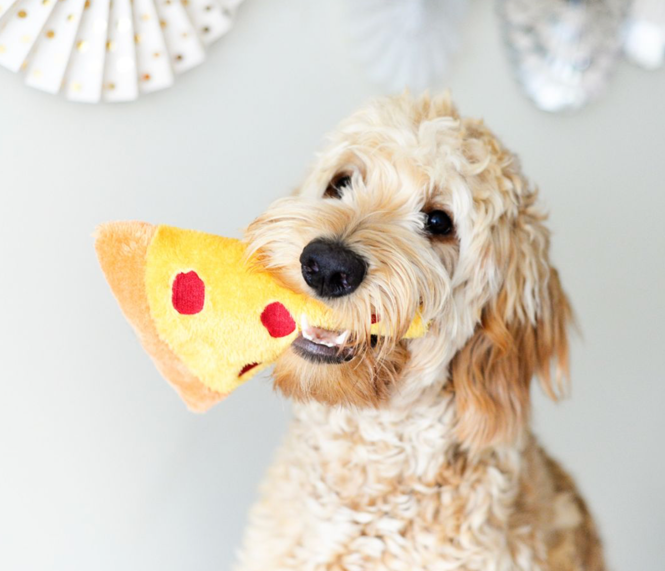 ZippyPaws – wholesale Mjukisdjur - Hund – NomNomz® pizza hundleksak5