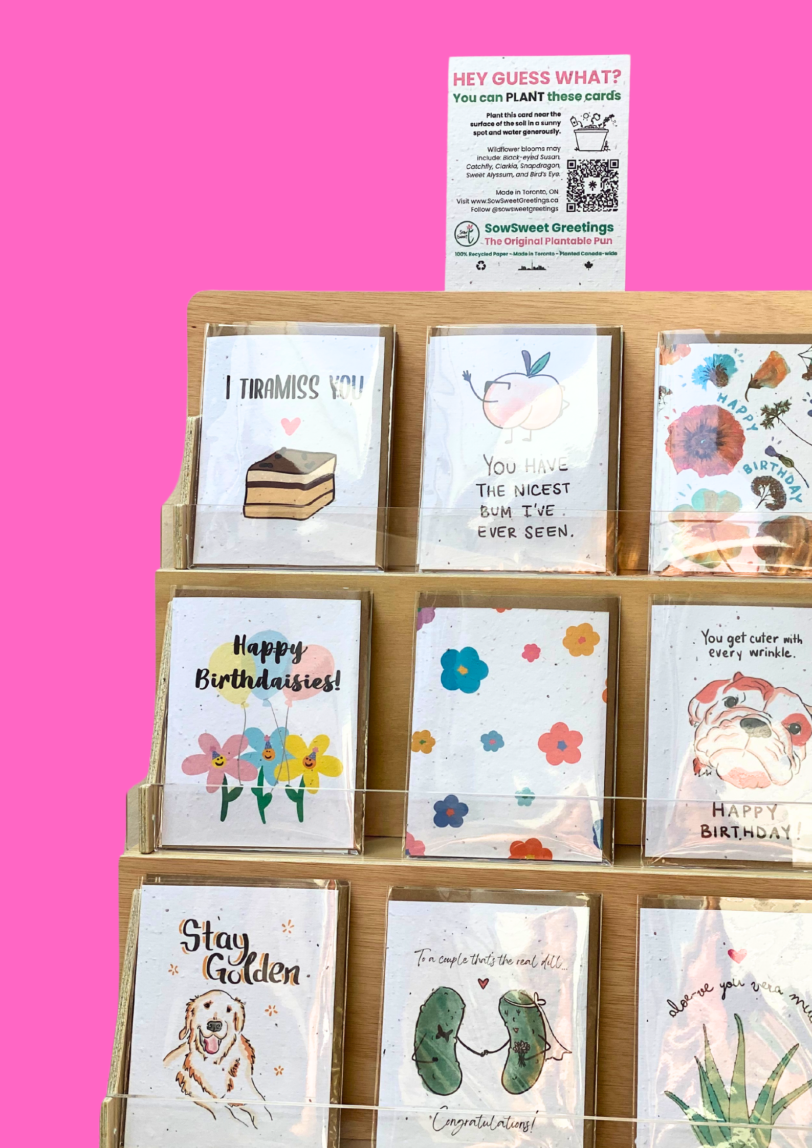 SowSweet Greetings Inc – wholesale Återförsäljarskyltning – Mini-borddisplay för detaljhandel0