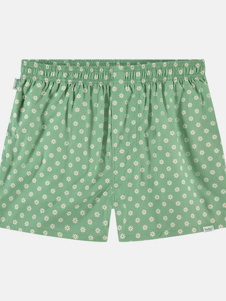 Gänseblümchen Grün für den Großhandel von Pockies