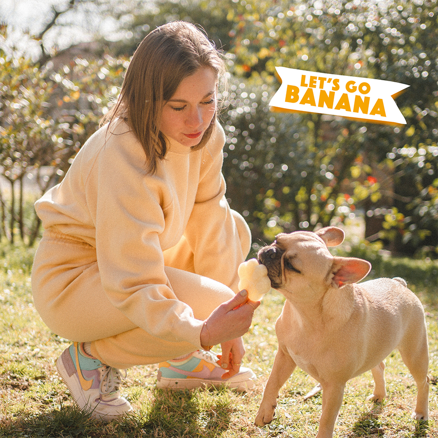 Smoofl - Venta al por mayor Chuches - Perros - Mezcla de banana para helado de perro3