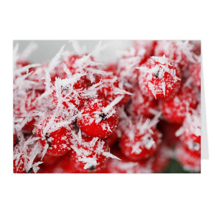 Cartão dobrável "Azevinho" por atacado de paruspaper. nutzfeine papeterie