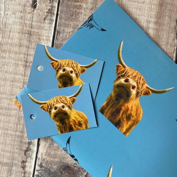 Alex Sharp – Engroshandel Gavepapir – Highland Cow gaveindpakning og tag sæt - blå highland ko papir