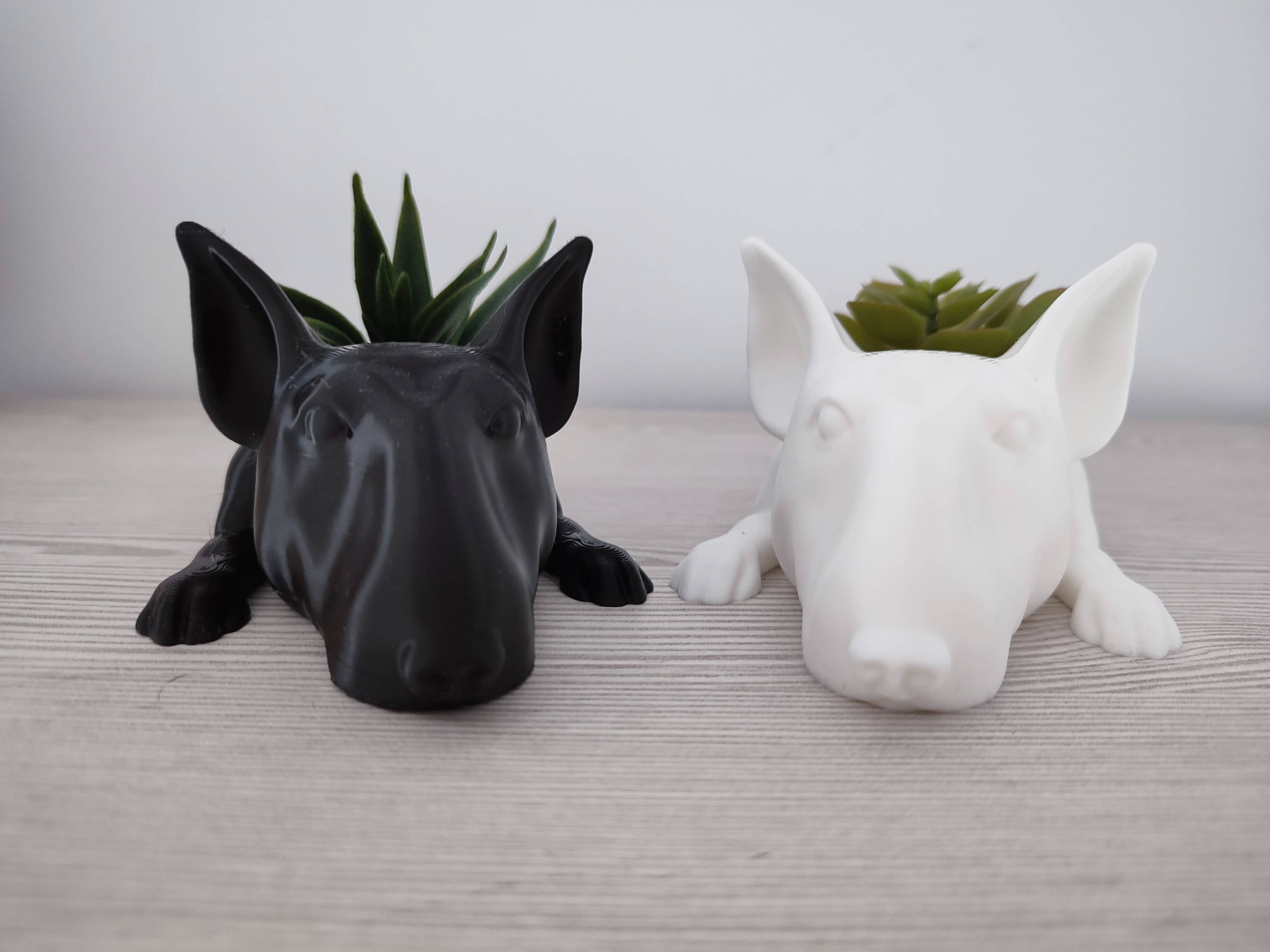 3DROOTS - Wholesale Plant Pot - Bullterrier dog pot2