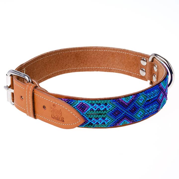 Apapáchalos- Pets - Wholesale Pet Collar - Dog - Quetzal blue dog collar3