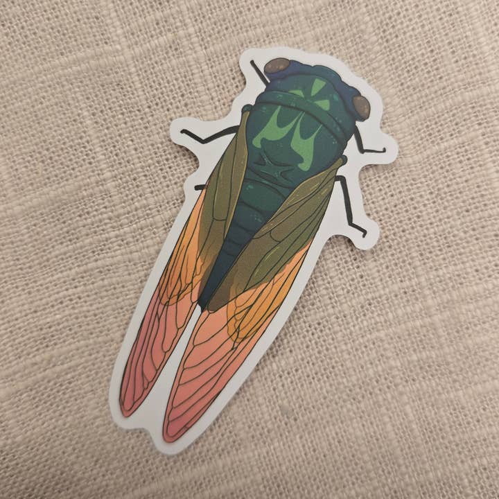 Cicada Sticker for wholesale by Salt Birch