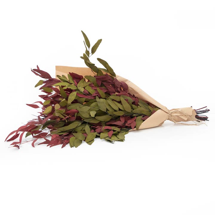 Andaluca - Wholesale Dried/Pressed Flowers - Farmhouse Willow Bundles5