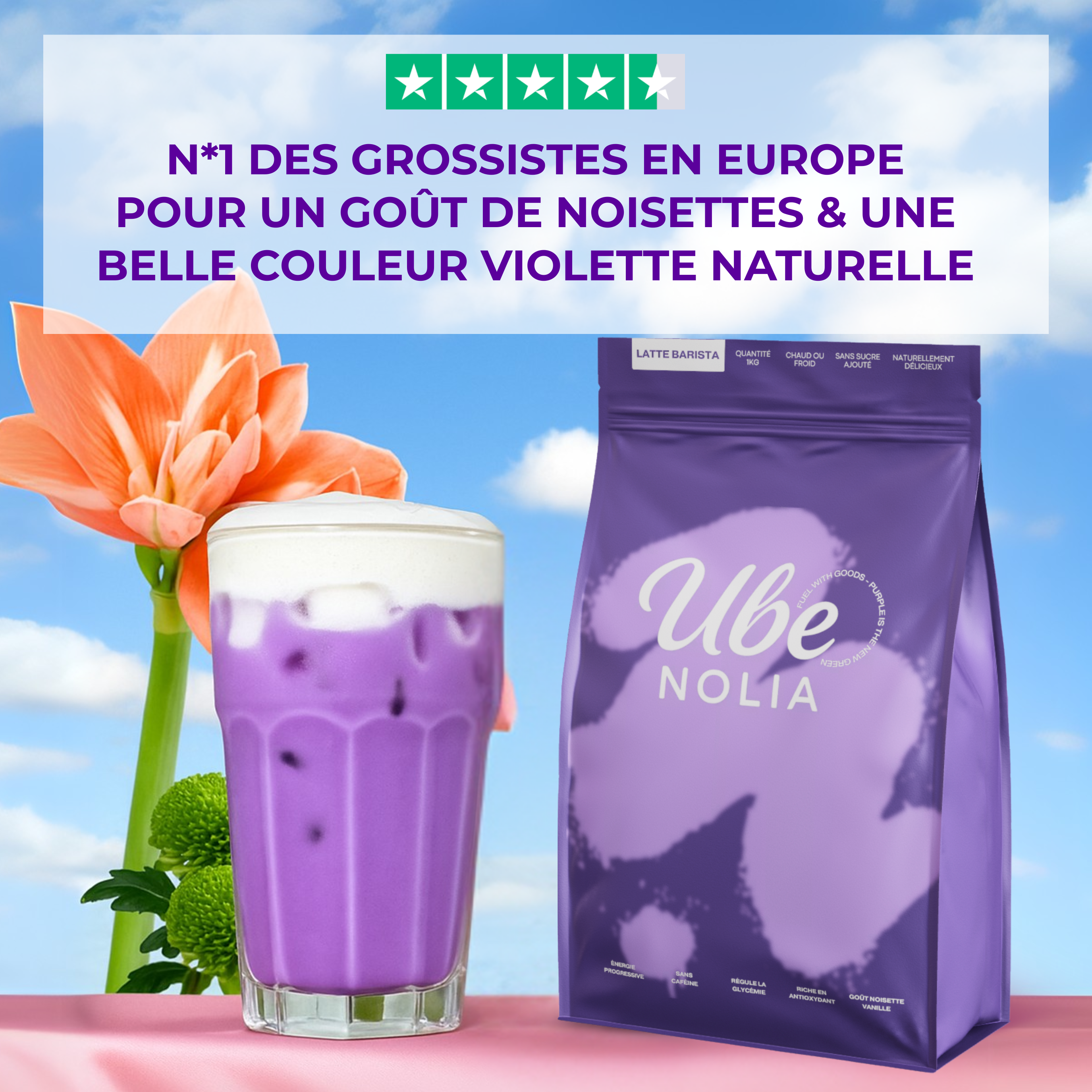 UBE NOLIA - Wholesale Powdered Health Drink - Premium Ube Latte Powder Philippines 100% Natural - 1kg2