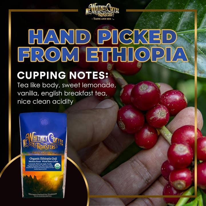 Organic Ethiopia Guji 2lb Whole Bean Coffee for wholesale by Mt. Whitney Coffee Roasters