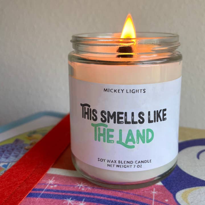 Theme Park Candles - Vente Bougie en bocal - La Terre | Bougie Mélange de Soja 7 oz3