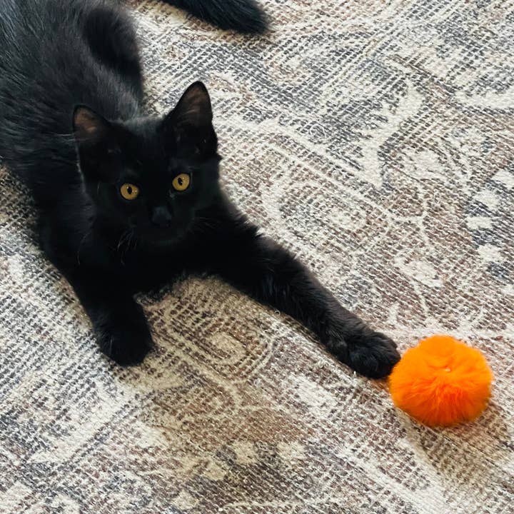 Koira - Wholesale Pet Toy - Cat - Puffy Poof Cat Toy8