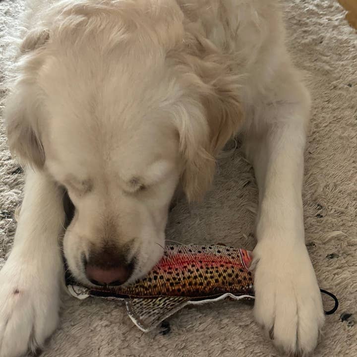 STEELDOG USA LLC - Wholesale Pet Plush Toy - Dog - Denim Rainbow Trout1