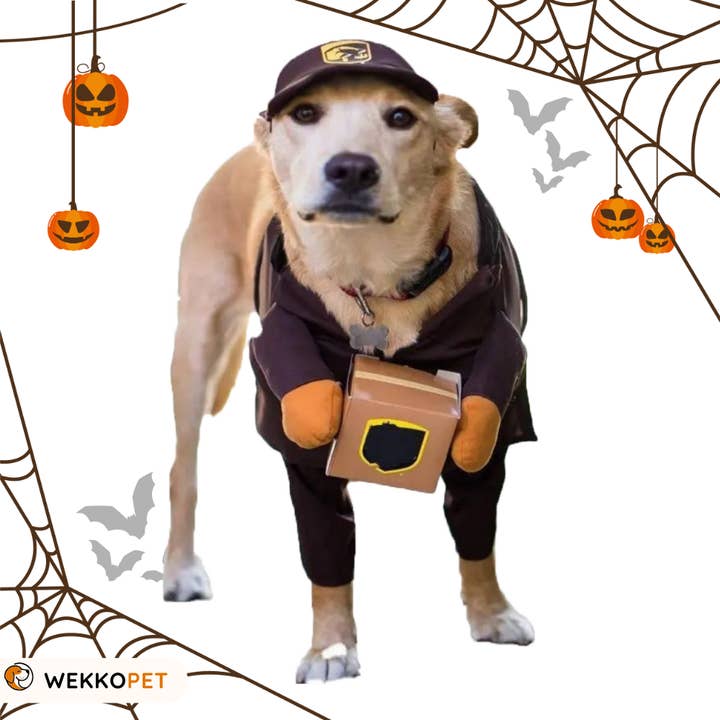 UPS (INDIVIDUAL) Halloween MGG99 para venta al por mayor de WEKKOPET