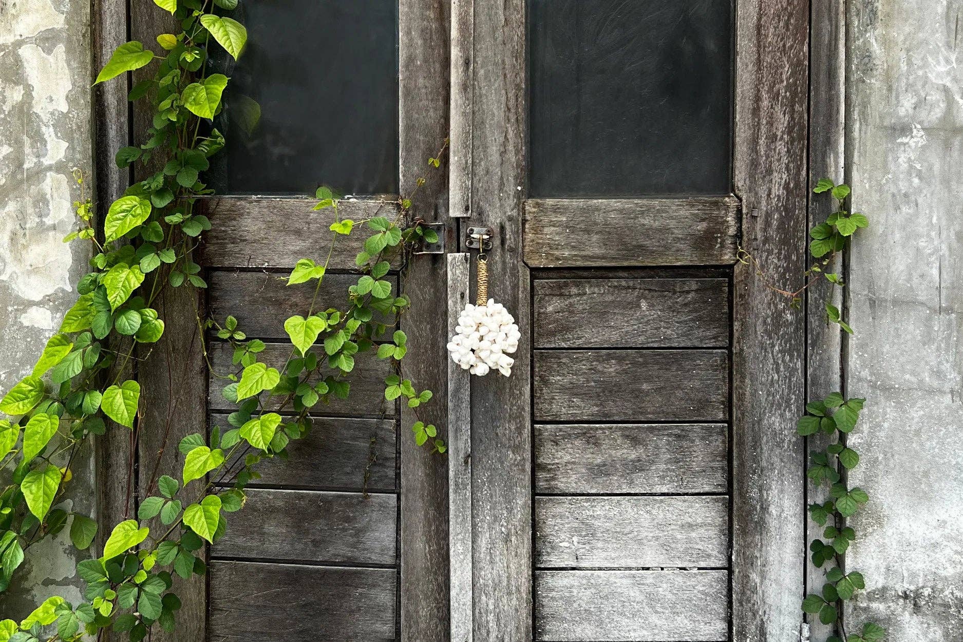 Bazar Bizar Living - Venta al por mayor Llavero - Unisex - Llavero Kai Shell - Blanco1