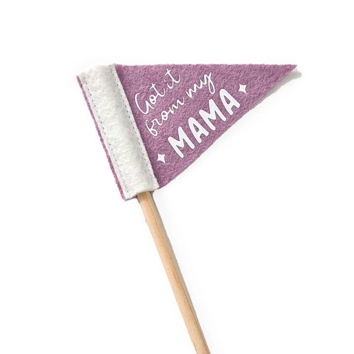 Pennant For Your Thoughts - Wholesale Flag - Mother's Day Tiny Flag Pennant | Wool Blend, Handmade in USA25