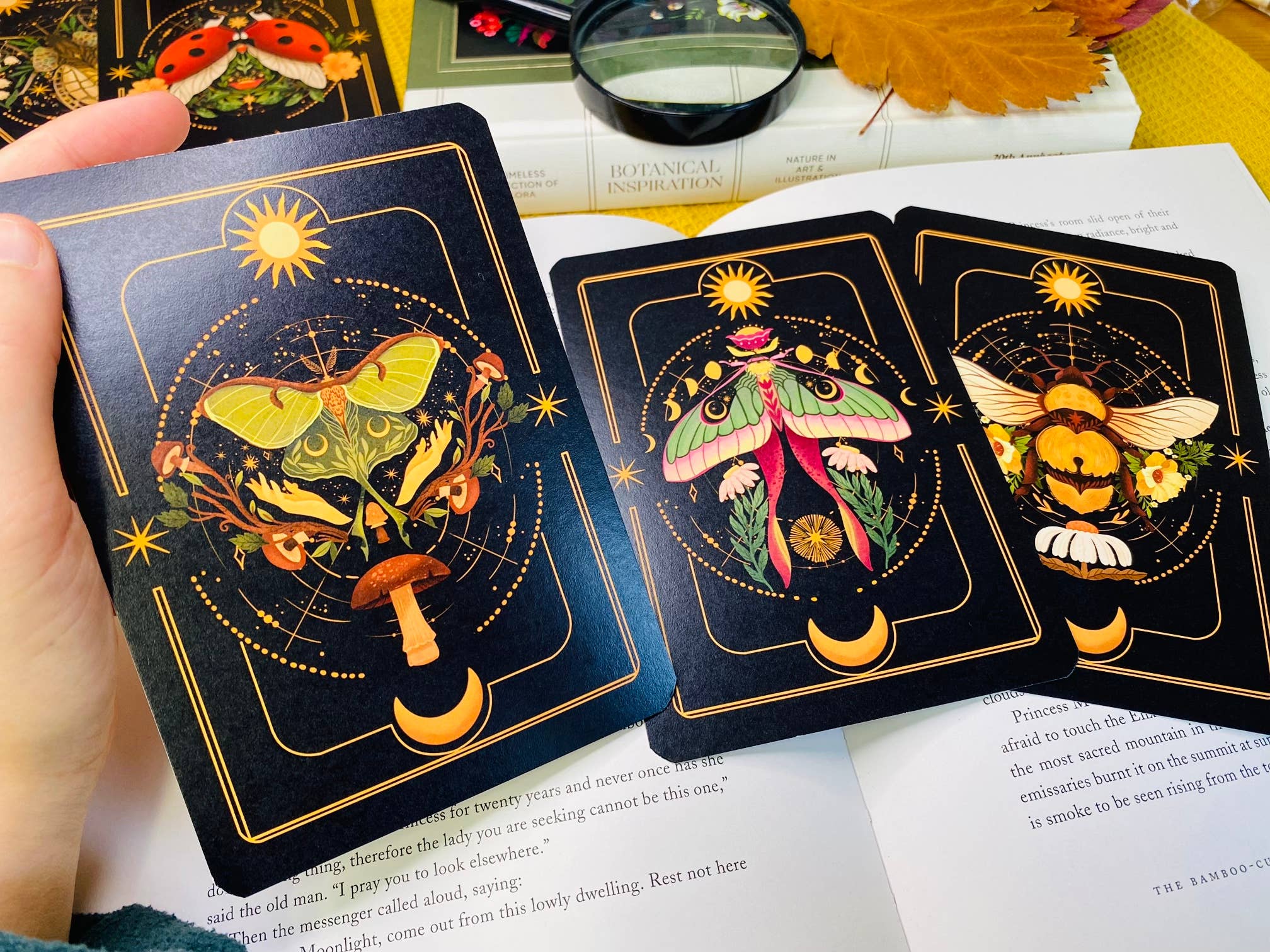 Split Moon Studios - Wholesale Art Print - A Set of Insect Art Prints - A6 Post Card Size - Artprint7