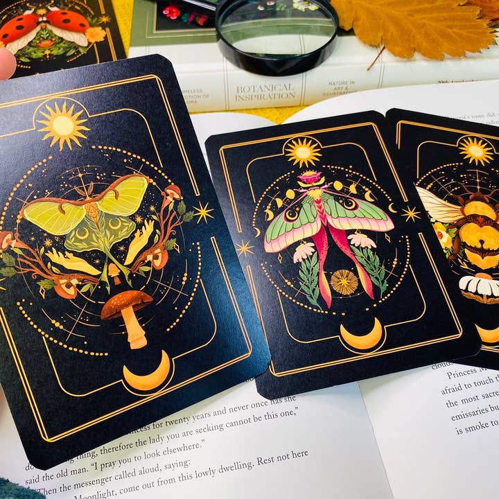 Split Moon Studios - Wholesale Art Print - A Set of Insect Art Prints - A6 Post Card Size - Artprint7