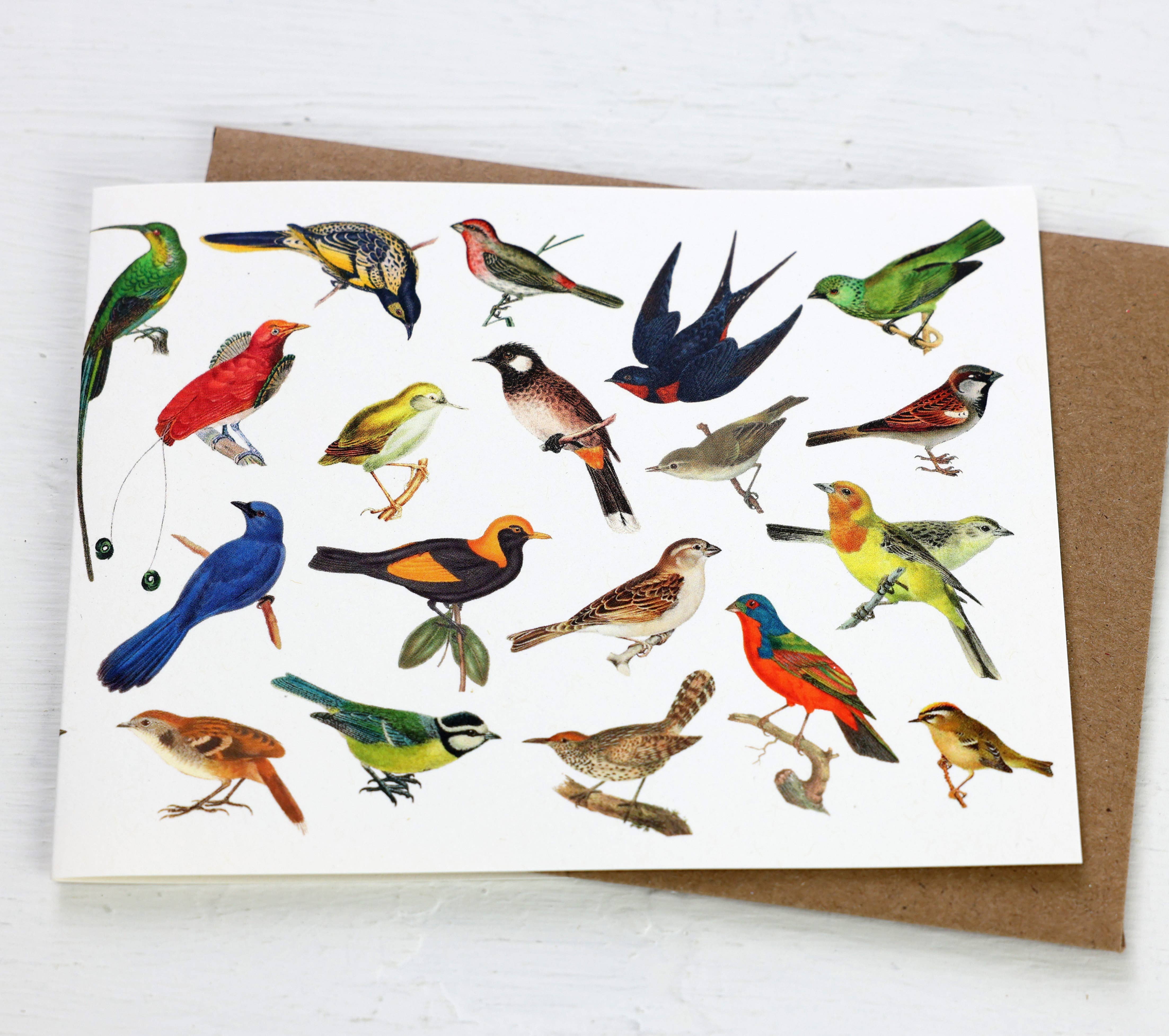 Fairhope Graphics - Wholesale Everyday Greeting Card - Song Birds Card1