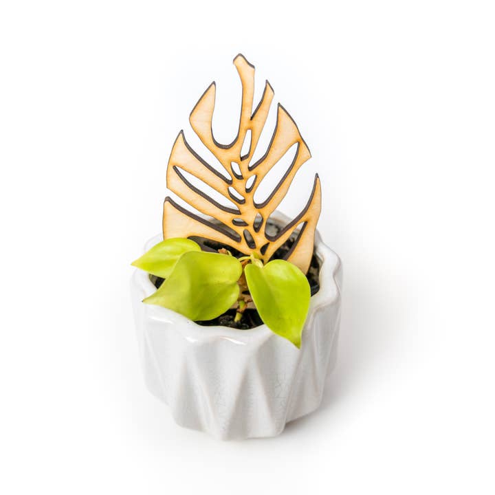 Treleaf – wholesale Garden/lawn stake – BARE Mini Trellises - Decorative wooden plant stakes8